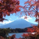 2017年の河口湖の紅葉の時期や見頃は?ライトアップは?